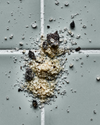 Nicolas Vahé Salt, Salt with mushroom | Nicolas Vahe | Køb online hos Moster D – Hurtig levering