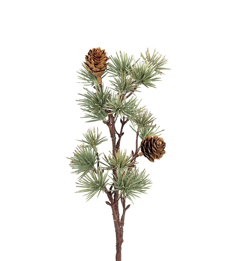 Mr. Plant Lærkekvist - Grøn