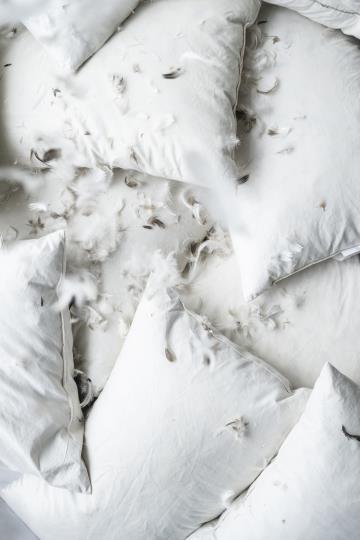 Ib Laursen - Pudefyld 70x50 cm andefjer+dun 1100 gr | Ib Laursen | Køb online hos Moster D – Hurtig levering