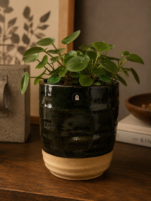 House Doctor Happy Planter - Mørk