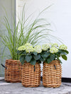 A2 Living - Mini Rund Rattankurv | A2 Living | Køb online hos Moster D – Hurtig levering