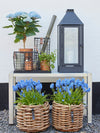 A2 Living - Mini Low Rund Rattankurv