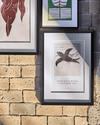 House Doctor Wall Art Fly, Sort