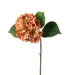 Mr. Plant Hortensia - Pink