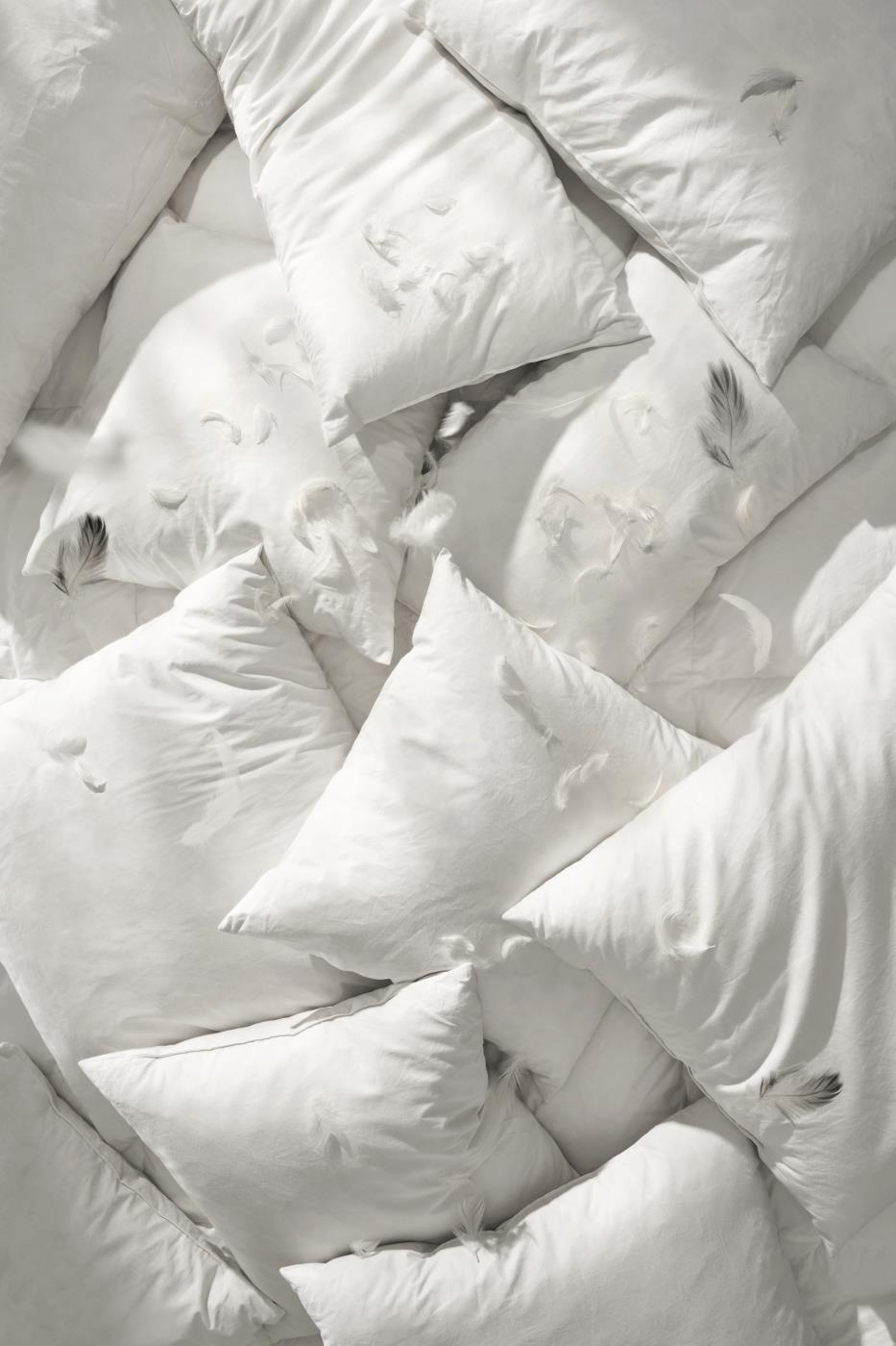 Ib Laursen - Pudefyld 50x50 cm andefjer+dun