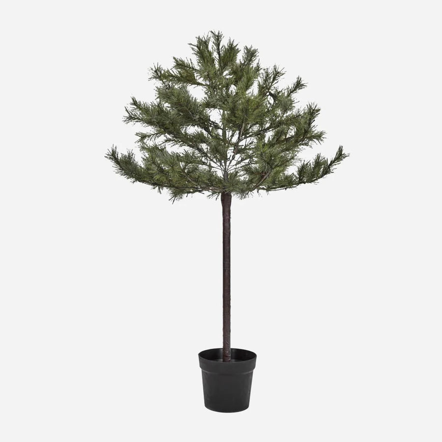 House Doctor Peuce Juletræ med LED lys - Nature