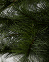 House Doctor Peuce Juletræ med LED lys - Nature