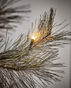 House Doctor Peuce Juletræ med LED lys - Nature
