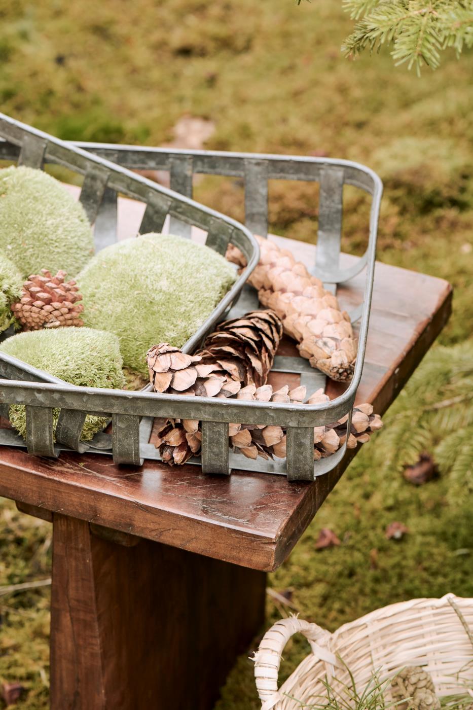 Ib Laursen Kurve i Metal - Lille