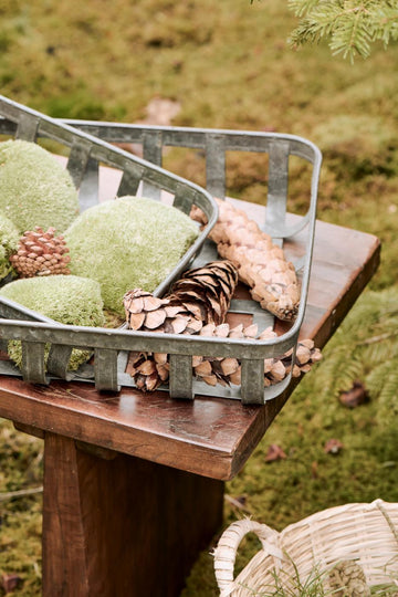 Ib Laursen Kurve i Metal - Lille