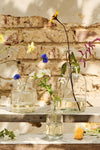 Ib Laursen Anna Vase klart glas m/hals - Mellem