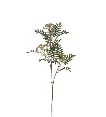 Mr. Plant Røn - Grøn