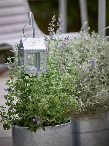 A2 Living Spyd til Små Lanterner - Galvaniseret