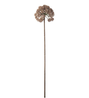 Mr. Plant Angelica - Light Brown