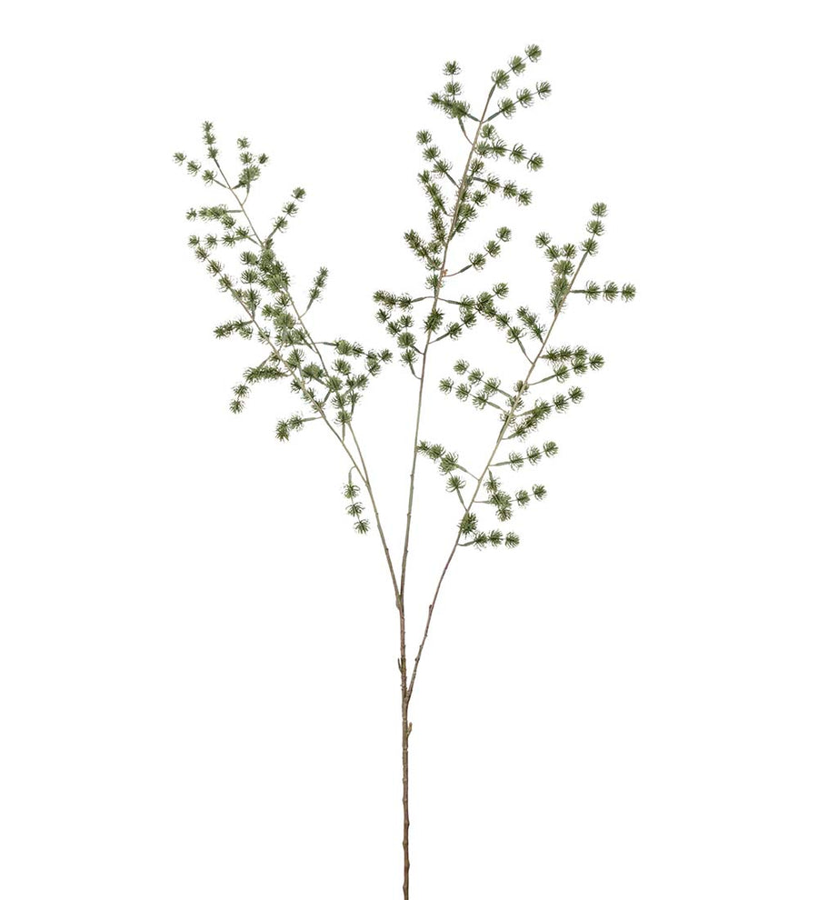 Mr. Plant Lækrekvist - Grøn