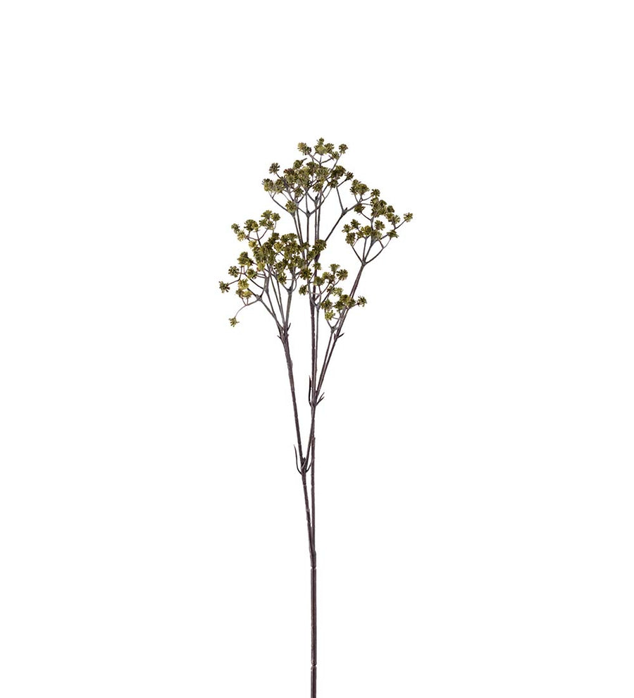 Mr. Plant Brudeslør - Grøn