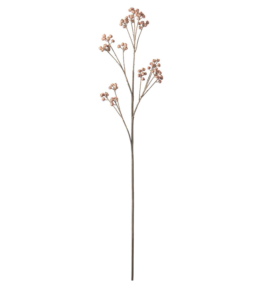 Mr. Plant Bærkvist - Brown