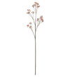 Mr. Plant Bærkvist - Brown