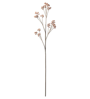 Mr. Plant Bærkvist - Brown