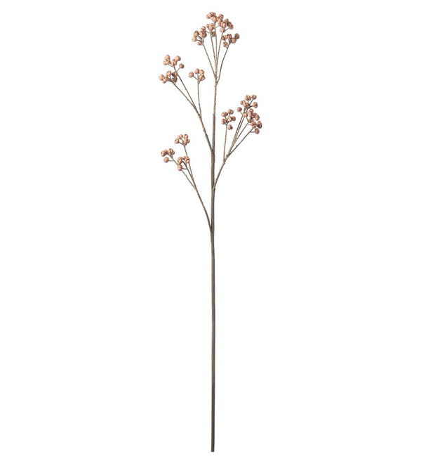 Mr. Plant Bærkvist - Brown