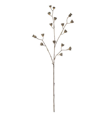 Mr. Plant Kvist - Brown