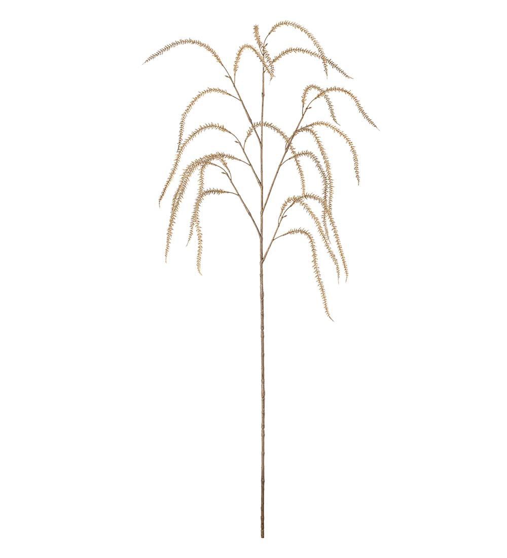 Mr. Plant Amaranthus - Beige