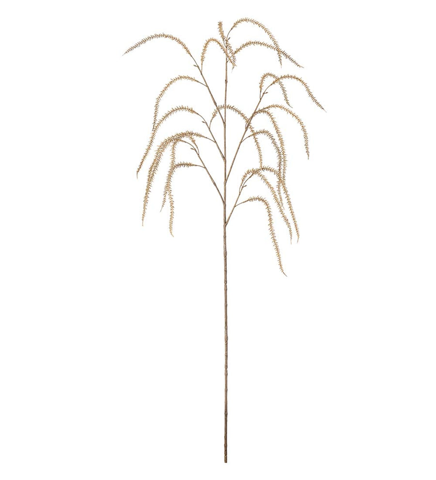 Mr. Plant Amaranthus - Beige