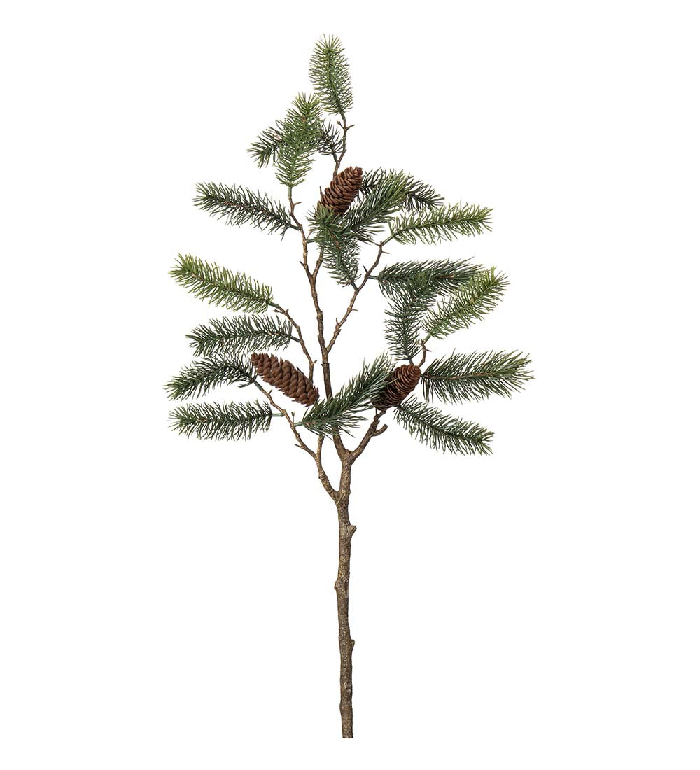 Mr. Plant Fyrrekvist med Kogler - Grøn