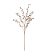 Mr. Plant Bærkvist - Beige