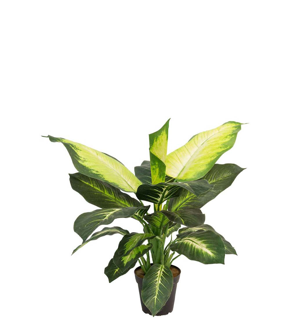 Mr. Plant Prikblad - Grøn