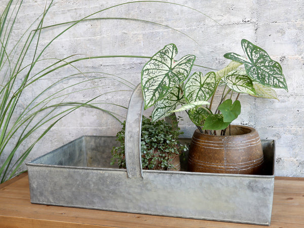Chic Antique - Opbevaringskasse med hank | Chic Antique | Køb online hos Moster D – Hurtig levering