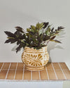 House Doctor Ivy Planter - Beige