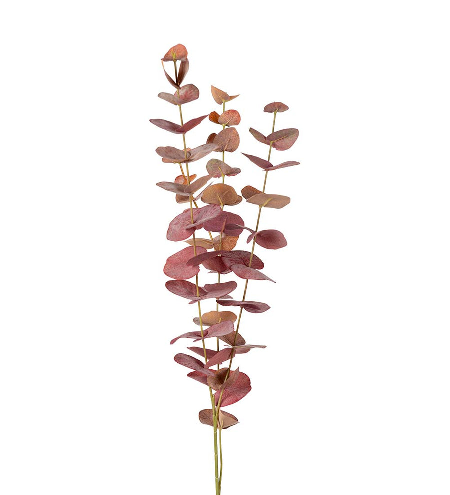 Mr. Plant Eucalyptus - Burgundy