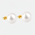 muun studios Lara Pearl Earrings - 18K Gold Plated Earring 18K Gold Plated