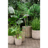 Lauvring Hazz Rattan Kurv - Small