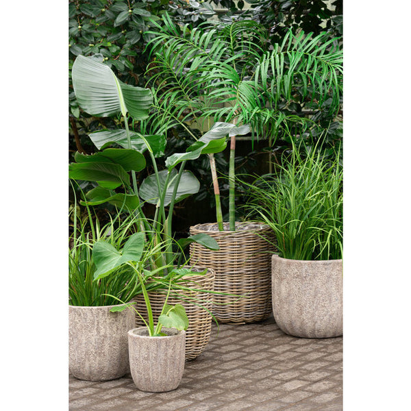 Lauvring Hazz Rattan Kurv - XLarge